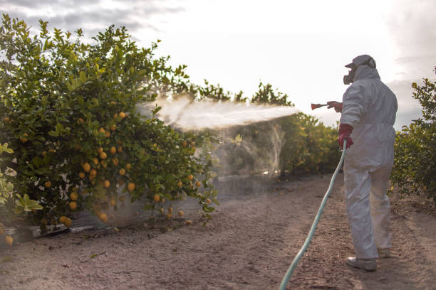 Bird Control in Tahoka, TX
